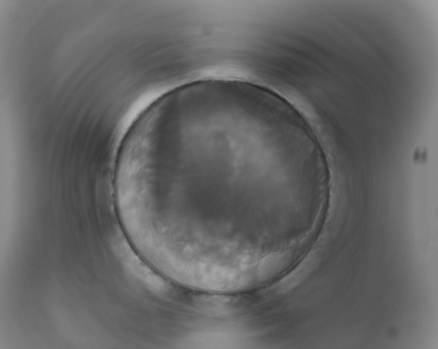 X0000111821248200908131516