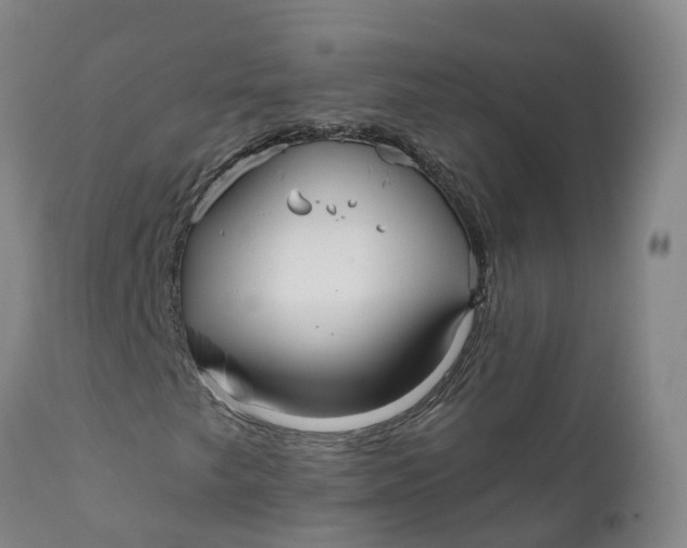 X0000111821249200908131515