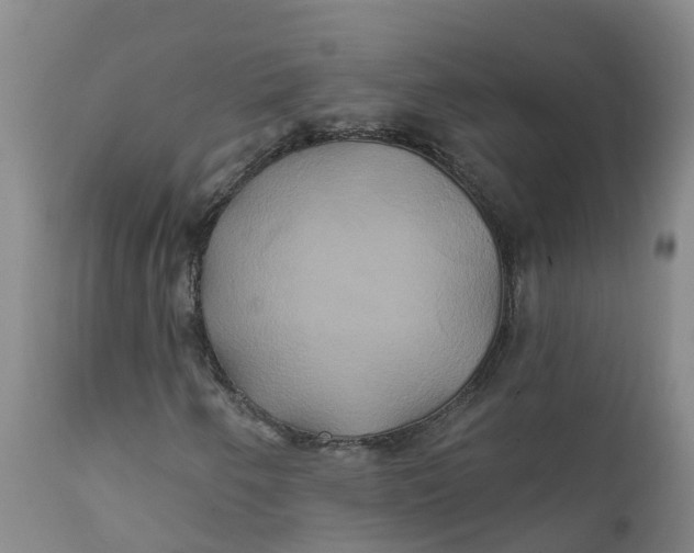 X0000111821250200908131515