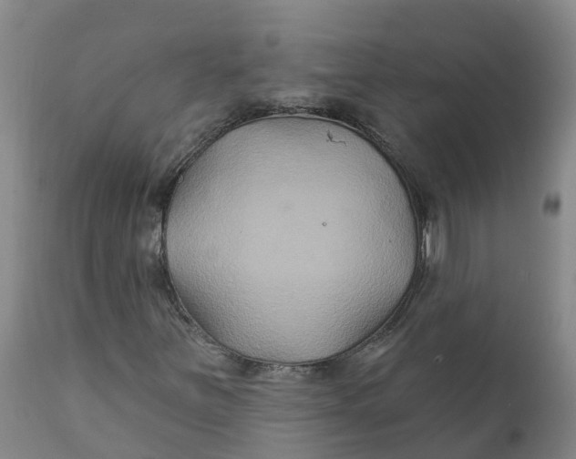 X0000111821251200908131515