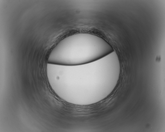 X0000111821252200908131515