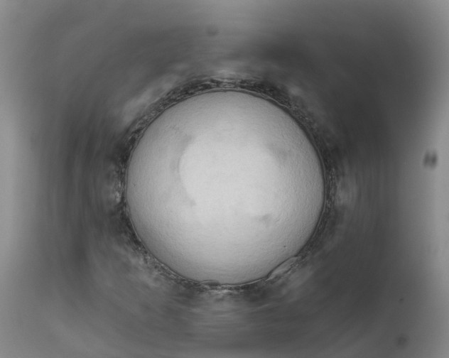 X0000111821253200908131515