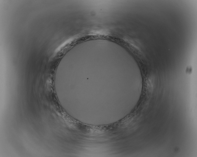 X0000111821254200908131515