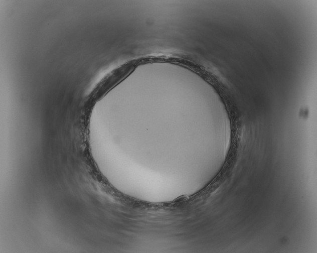 X0000111821256200908131515