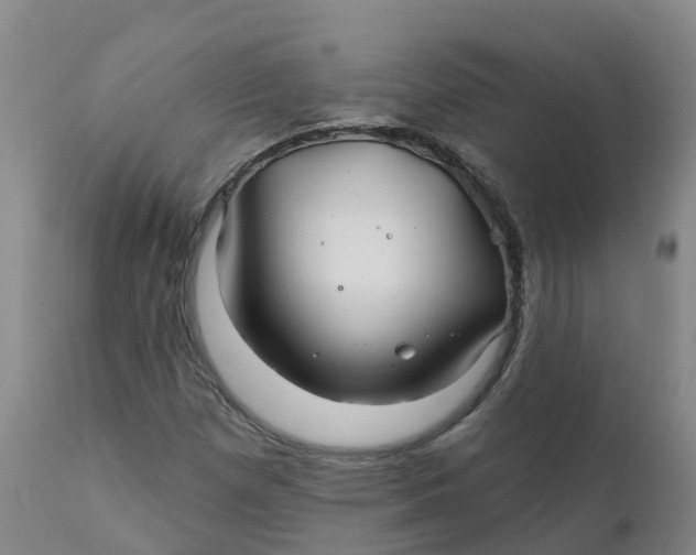 X0000111821257200908131515