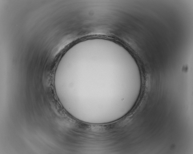 X0000111821258200908131515