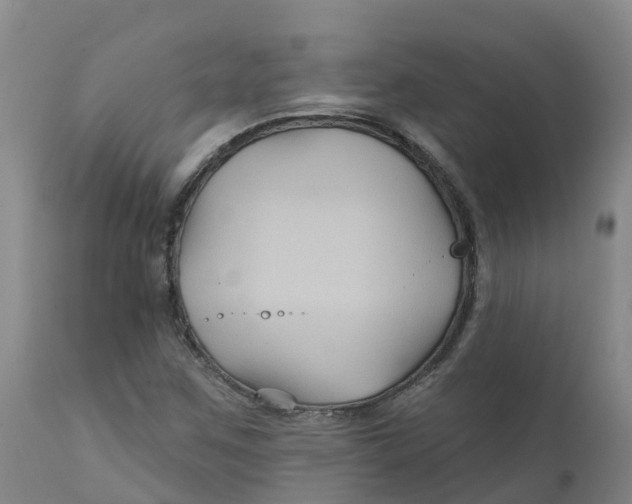 X0000111821259200908131515