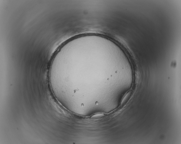 X0000111821260200908131515