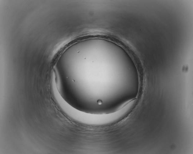 X0000111821261200908131515