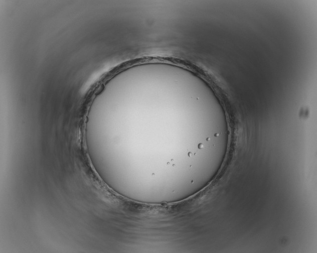 X0000111821262200908131515