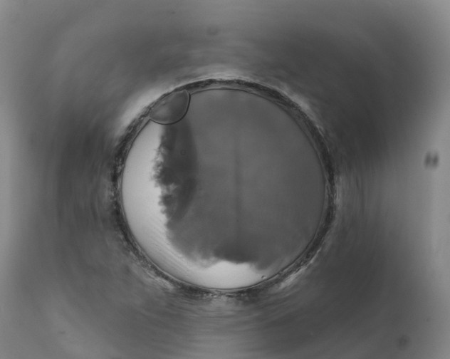 X0000111821263200908131515