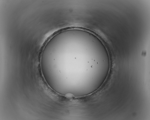 X0000111821264200908131515