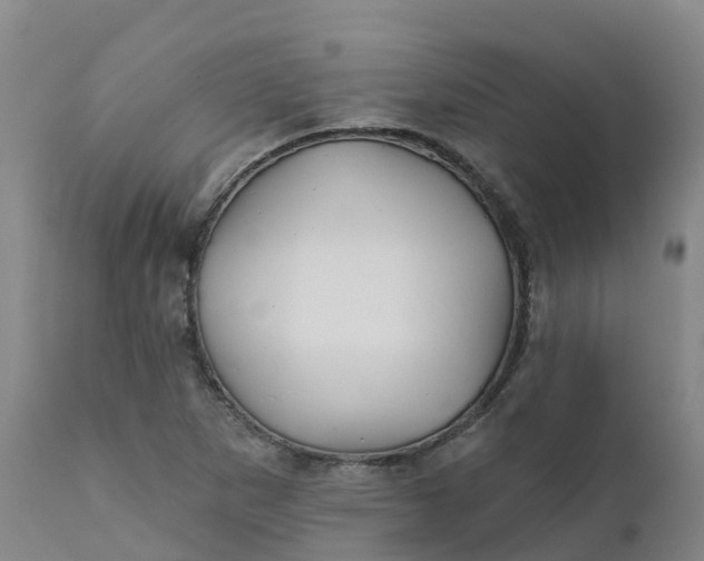 X0000111821265200908131515