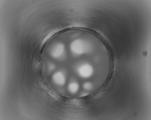 X0000111821266200908131515