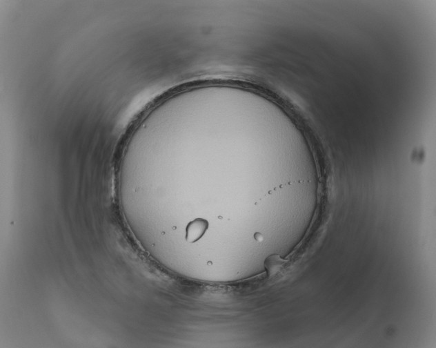 X0000111821267200908131515