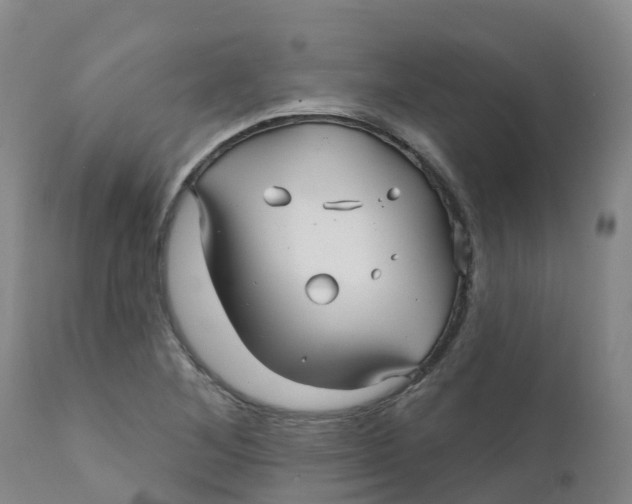 X0000111821268200908131515