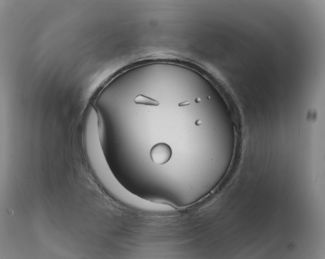 X0000111821269200908131515