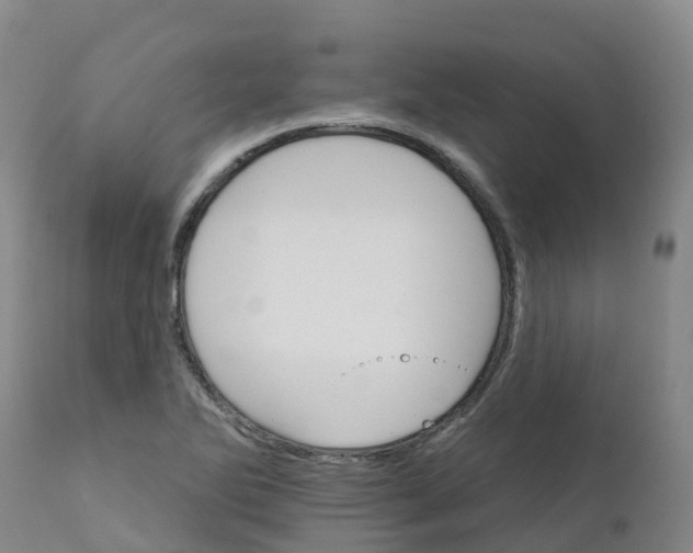 X0000111821270200908131515