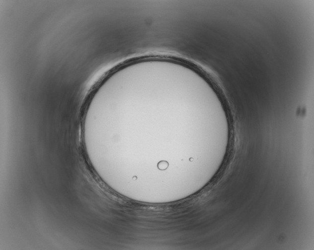 X0000111821271200908131515