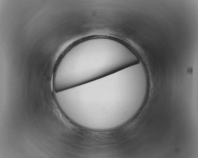 X0000111821272200908131515