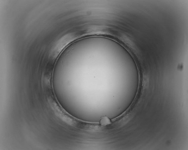 X0000111821273200908131515