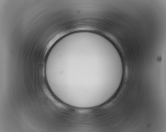 X0000111821274200908131515