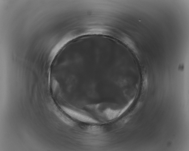 X0000111821275200908131515