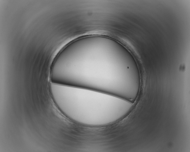 X0000111821276200908131515