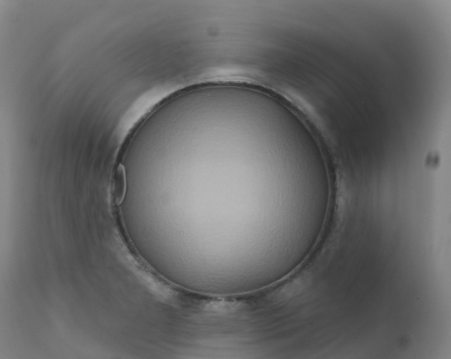 X0000111821277200908131515