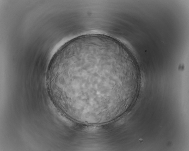 X0000111821278200908131515