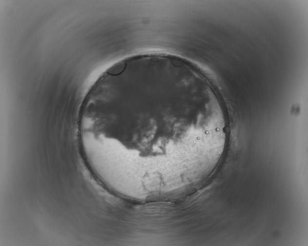 X0000111821279200908131515