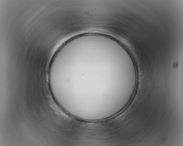 X0000111821280200908131514