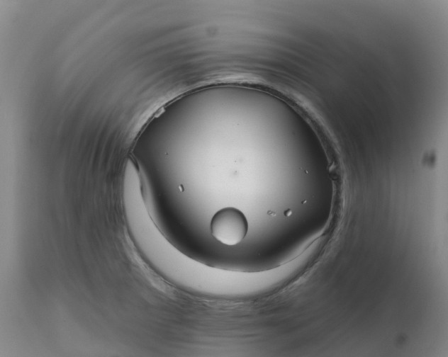 X0000111821281200908131514