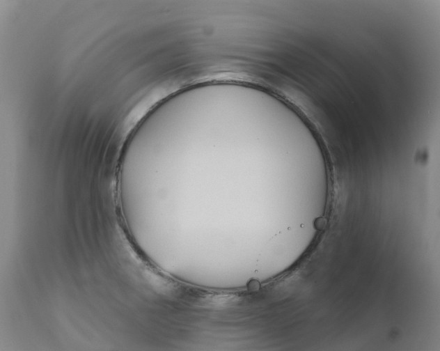 X0000111821282200908131514