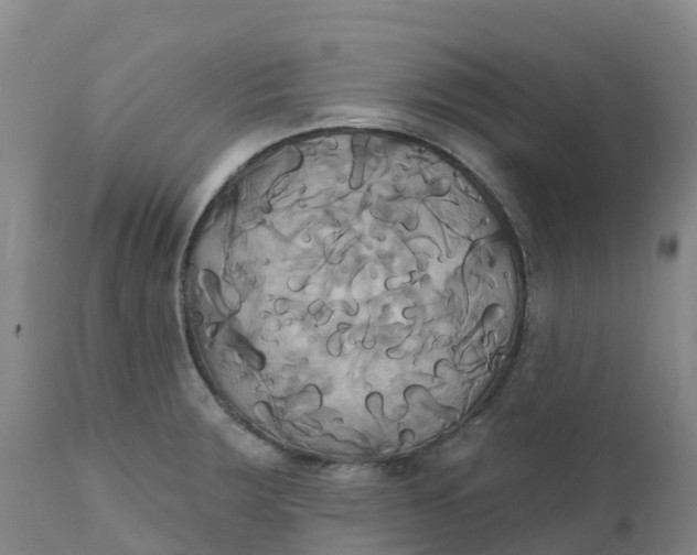 X0000111821283200908131514