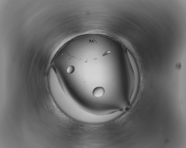 X0000111821284200908131514