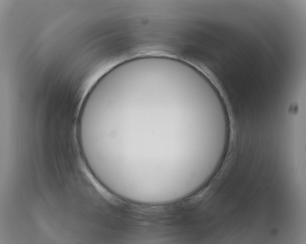 X0000111821285200908131514