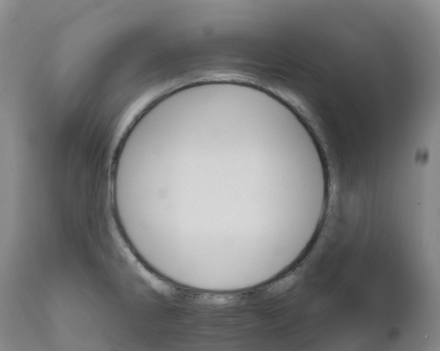 X0000111821286200908131514