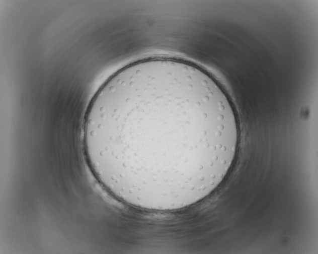 X0000111821287200908131514