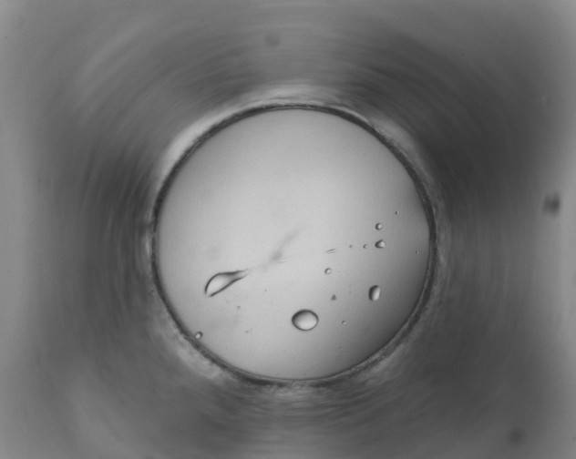 X0000111821288200908131514