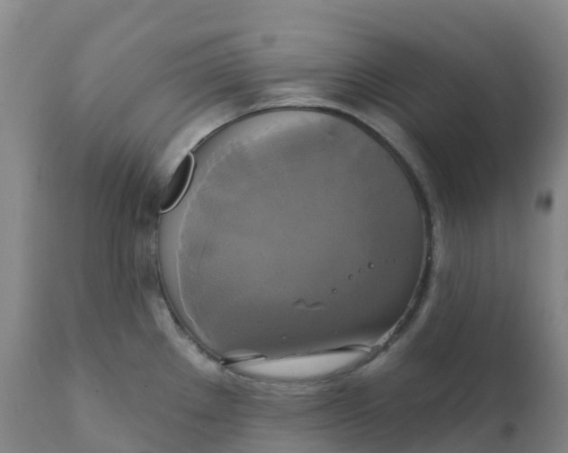 X0000111821289200908131514