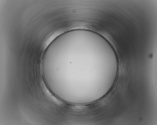 X0000111821290200908131514