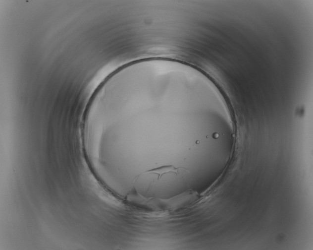 X0000111821291200908131514