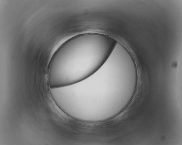 X0000111821292200908131514