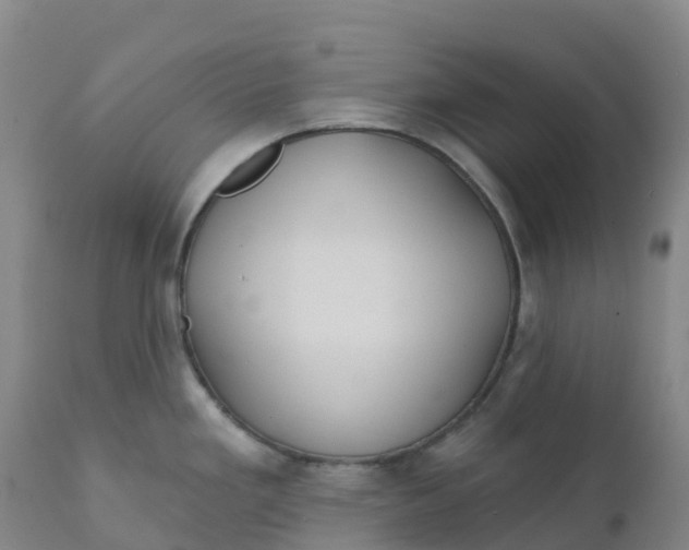 X0000111821293200908131514