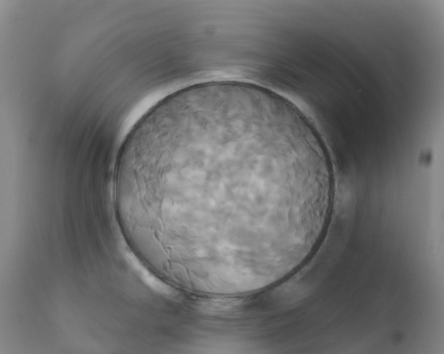 X0000111821294200908131514