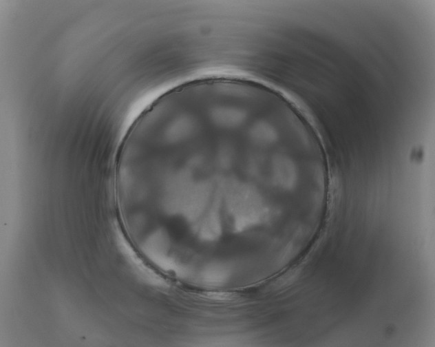 X0000111821295200908131514