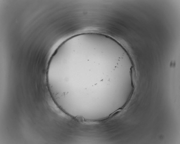 X0000111821296200908131514