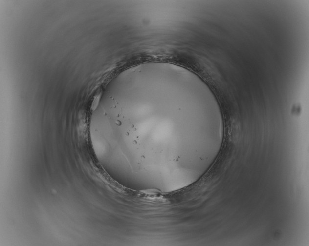 X0000111821298200908131513