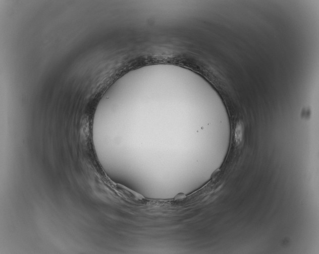 X0000111821299200908131513